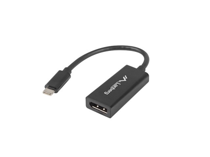 Attēls no Adapter USB CM - Displayport F 15cm czarny 