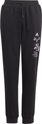 Picture of Adidas Spodnie adidas BLUV Q3 Pant Jr IA1553
