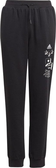 Picture of Adidas Spodnie adidas BLUV Q3 Pant Jr IA1553