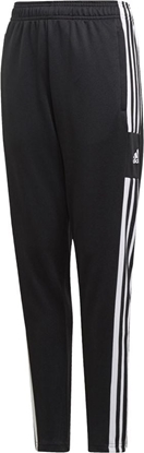Attēls no Adidas Spodnie adidas SQUADRA 21 Training Pant Junior GK9553 GK9553 czarny 164 cm