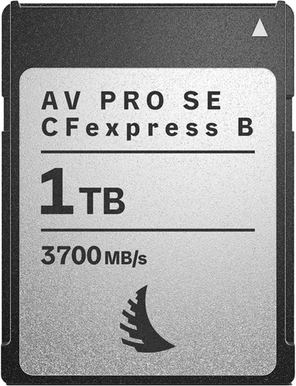 Picture of Karta Angelbird AV PRO SE CFexpress 1 TB  (AVP1T0CFXBSEMK2)