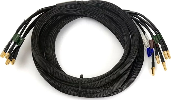 Picture of Antena Poynting Kabel GSM Poynting 5w1 CAB-119 3xSMA 2xRP SMA 3m