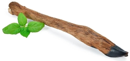 Picture of ARAMI C RACICA SARNY Z FUTREM 1szt.