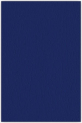 Picture of Argo Karton do bindowania skóropodobny A4 ARGO DELTA 407065 granatowy 25 szt