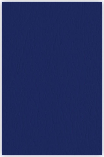 Picture of Argo Karton do bindowania skóropodobny A4 ARGO DELTA 407065 granatowy 25 szt