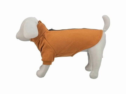 Picture of Bluza dla psa Trixie Amsterdam Pomaraczowy XS
