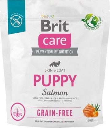 Attēls no Brit Sucha karma dla psa Dog Grain-free Puppy Salmon 1 kg