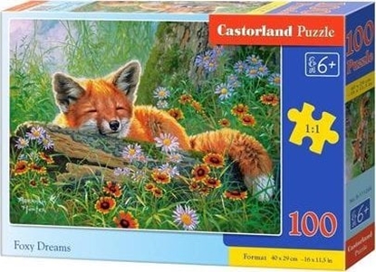 Attēls no Castorland Puzzle 100 Foxy Dreams CASTOR