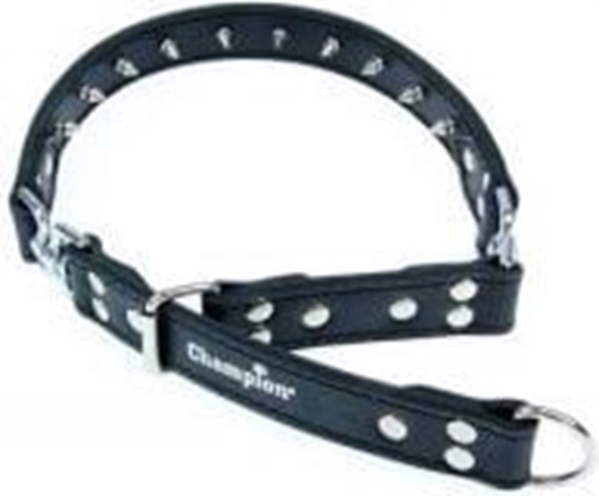 Picture of Champion Obroa Skórzana 60-75/3.0