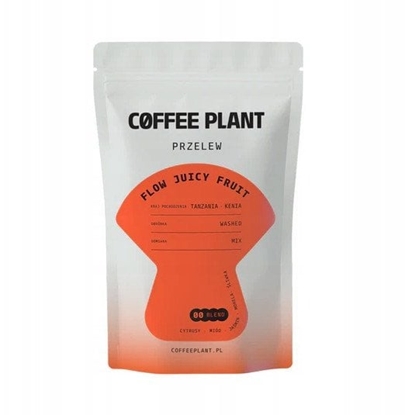 Изображение COFFEE PLANT - FLOW Juicy Fruit Filter 100g