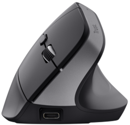 Picture of Datorpele Trust Bayo+ Ergonomic