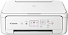 Picture of Daudzfunkciju printeris Canon Pixma TS5151 White 