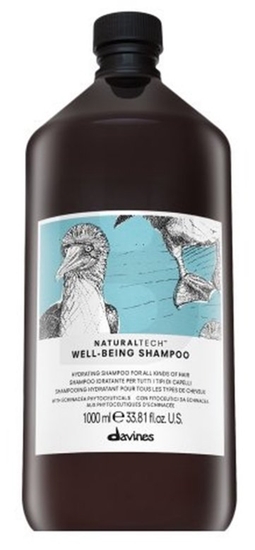 Picture of Davines Natural Tech Well-Being Shampoo 1000 ml