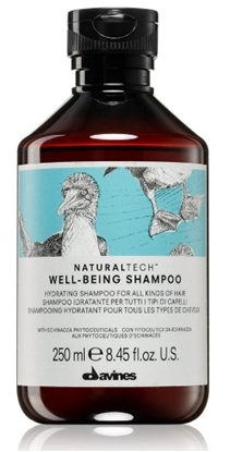 Изображение Davines Natural Tech Well-Being Shampoo 250 ml