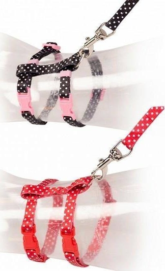 Picture of Duvo+ DUVO+ SZELKI DLA KOTA W KROPKI 20-35cm / 10mm - 125cm 11218