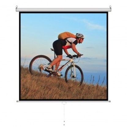 Picture of Ekran ręczny półautomat 1:1 70" 178x178cm MS-70 1:1