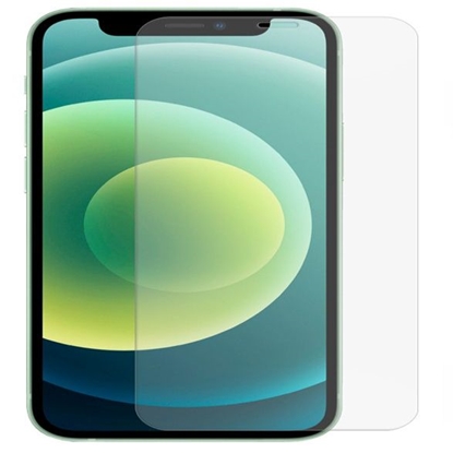 Attēls no Evelatus Apple iPhone 12 Pro Max 6.7 Matte 2.5D Silk Cover Japan Glue Glass Anti-Static