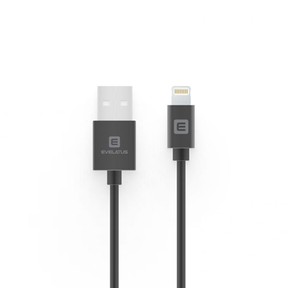 Изображение Evelatus Evelatu Lightning cable 2M MFI07 Black