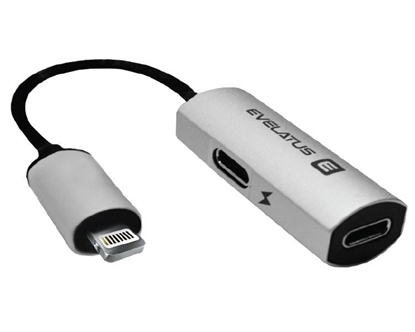 Изображение Evelatus Lightning to Lightning-x2 V02 bulk package