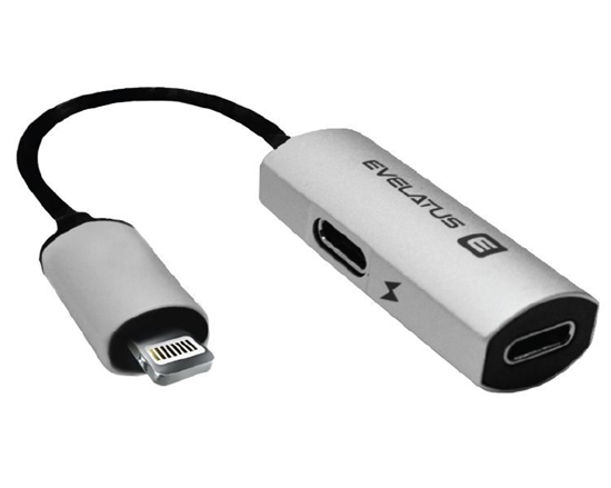 Picture of Evelatus Lightning to Lightning-x2 V02 bulk package