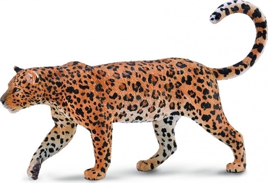 Picture of Figurka Collecta AFRICAN LEOPARD