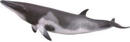 Изображение Figurka Collecta MINKE WHALE