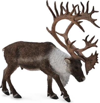 Picture of Figurka Collecta Renifer Woodland Caribou (004-88709)