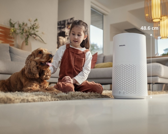 Picture of FY1700/30 Genuine replacement filter Integrated 3-in-1