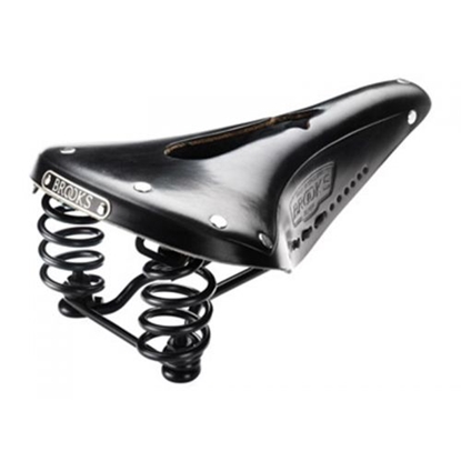 Picture of Flyer Imperial