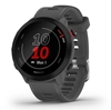 Picture of Garmin Forerunner 55 grey