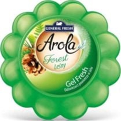 Attēls no General Fresh GENERAL FRESH arola FOREST 150g - odwieacz powietrza dynia w elu