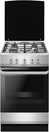 Picture of Hansa gzes plts