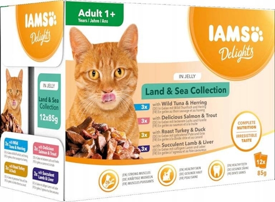 Picture of Iams Cat Adult Land & Sea collection in Jelly 12x85g