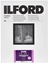 Picture of Ilford 1x100 MG RC DL 1M 18x24