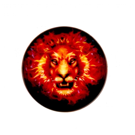 Picture of iLike Universal Pop Holder Fire Lion