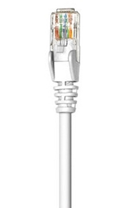 Picture of Intellinet 0.45m Cat5e networking cable White U/UTP (UTP)