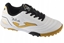 Picture of Joma Toledo Jr 2502 TF TOJW2502TF biae 30