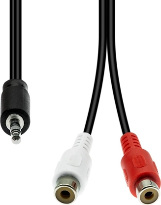 Attēls no Kabel ProXtend Mini-Jack 3-Pin to 2 x RCA Cable M-F Black 20cm