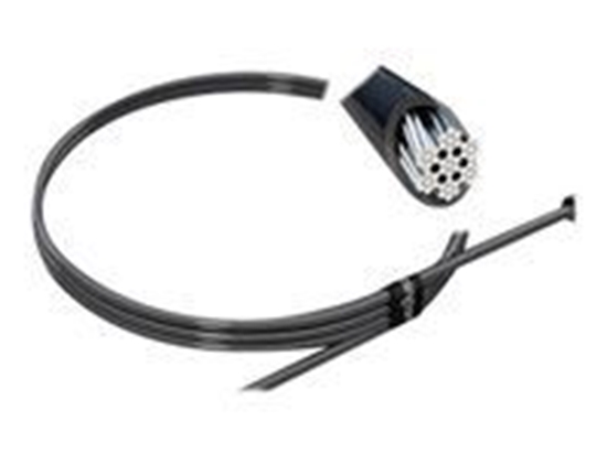 Picture of KENSINGTON MicroSaver 2.0 Key Security