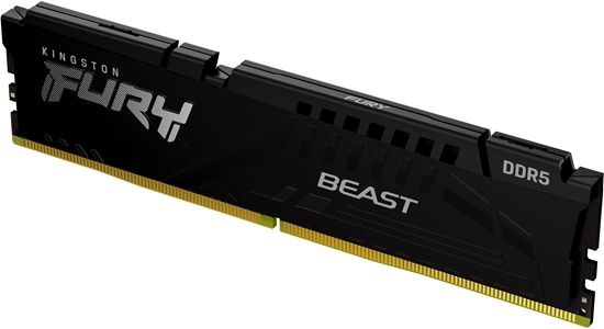 Изображение Pami Kingston Beast, DDR5, 32 GB, 5600MHz, CL36 (KF556C36BBE2-32)