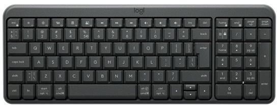 Picture of Klaviatūra Logitech K250 Compact US 