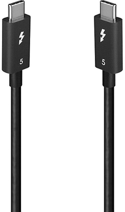 Изображение Lindy 31130 Thunderbolt kabelis 1 m 80 Gbit/s Melns