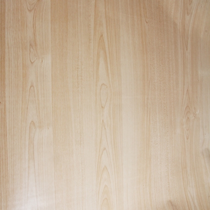 Attēls no Līmplēve-90cm  200-5417