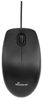 Picture of MOUSE USB OPTICAL BLACK/MROS212 MEDIARANGE