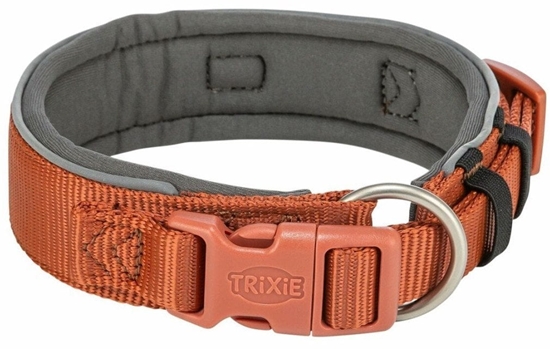 Picture of Obroa dla psa Trixie Premium Pomaraczowy Grafit L 46-55 cm