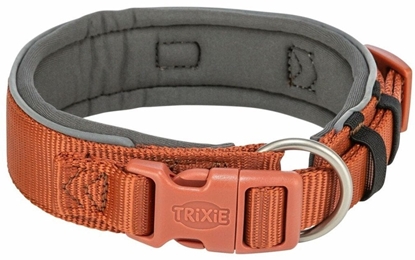 Picture of Obroa dla psa Trixie Premium Pomaraczowy Grafit L/XL 53-62 cm