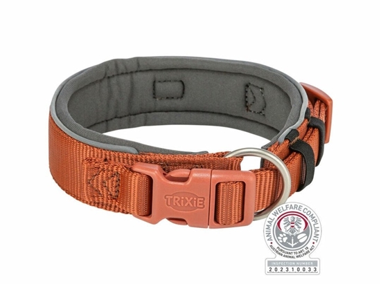 Picture of Obroa dla psa Trixie Premium Pomaraczowy Grafit XS/S 27-35 cm