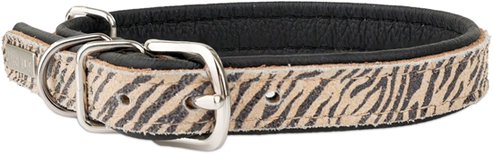 Picture of Obroa dla psa, TIGER, 12mm /32cm