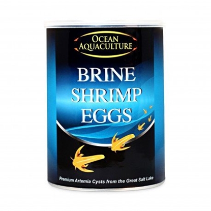 Attēls no Ocean Aquaculture, brine shrimp eggs, jaja artemii do wylgu, waga netto 454g, puszka