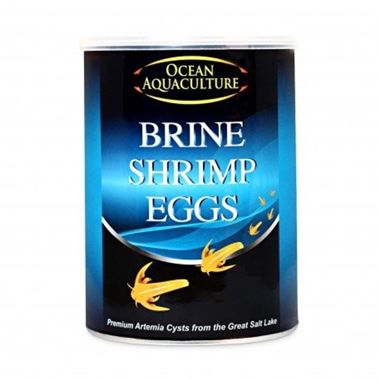 Picture of Ocean Aquaculture, brine shrimp eggs, jaja artemii do wylgu, waga netto 454g, puszka